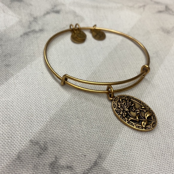 Alex & Ani - I love you Sister Bangle - Picture 3 of 5